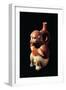 Peru, Inca Civilization, Zoomorphic Vessel in Shape of Monkey-null-Framed Giclee Print