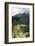 Peru, Machu Picchu, Morning-John Ford-Framed Photographic Print