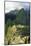 Peru, Machu Picchu, Morning-John Ford-Mounted Photographic Print