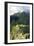 Peru, Machu Picchu, Morning-John Ford-Framed Photographic Print