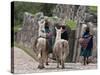 Peru, Native Indian Women Lead their Llamas Past the Ruins of Saqsaywaman-Nigel Pavitt-Stretched Canvas