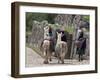 Peru, Native Indian Women Lead their Llamas Past the Ruins of Saqsaywaman-Nigel Pavitt-Framed Photographic Print