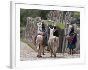 Peru, Native Indian Women Lead their Llamas Past the Ruins of Saqsaywaman-Nigel Pavitt-Framed Photographic Print