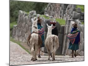 Peru, Native Indian Women Lead their Llamas Past the Ruins of Saqsaywaman-Nigel Pavitt-Mounted Photographic Print