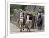 Peru, Native Indian Women Lead their Llamas Past the Ruins of Saqsaywaman-Nigel Pavitt-Framed Photographic Print