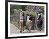 Peru, Native Indian Women Lead their Llamas Past the Ruins of Saqsaywaman-Nigel Pavitt-Framed Photographic Print