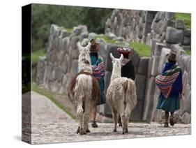 Peru, Native Indian Women Lead their Llamas Past the Ruins of Saqsaywaman-Nigel Pavitt-Stretched Canvas