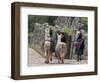 Peru, Native Indian Women Lead their Llamas Past the Ruins of Saqsaywaman-Nigel Pavitt-Framed Photographic Print