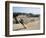 Peru, Pachacamac, Temple of Moon, Inca Civilization-null-Framed Giclee Print