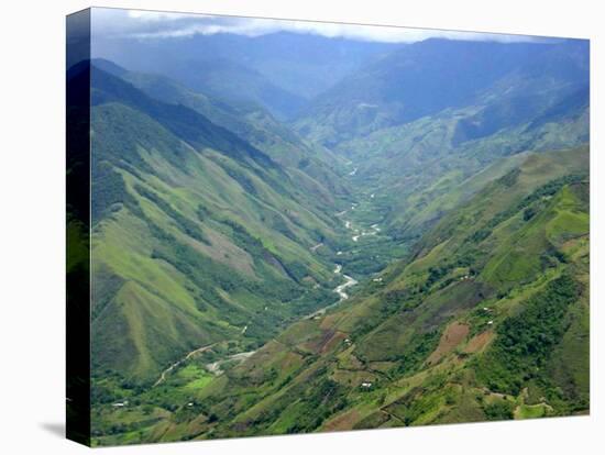 Peru's Monzon River Valley Shows a Patchwork of Coca Fields-null-Stretched Canvas