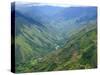 Peru's Monzon River Valley Shows a Patchwork of Coca Fields-null-Stretched Canvas