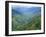 Peru's Monzon River Valley Shows a Patchwork of Coca Fields-null-Framed Premium Photographic Print