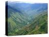 Peru's Monzon River Valley Shows a Patchwork of Coca Fields-null-Stretched Canvas