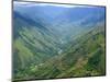 Peru's Monzon River Valley Shows a Patchwork of Coca Fields-null-Mounted Photographic Print