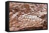 Peru, Salinas De Maras, Pre Inca Traditional Salt Mine (Salinas).-Rafal Cichawa-Framed Stretched Canvas