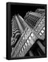 Essential Black