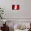 Peruan Flag-igor stevanovic-Stretched Canvas displayed on a wall