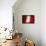 Peruan Flag-igor stevanovic-Framed Stretched Canvas displayed on a wall