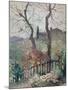 Perugia, Umbria, 1894 (Oil on Board)-Konstantin Andreevic Somov-Mounted Giclee Print