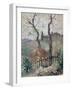 Perugia, Umbria, 1894 (Oil on Board)-Konstantin Andreevic Somov-Framed Giclee Print