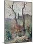 Perugia, Umbria, 1894 (Oil on Board)-Konstantin Andreevic Somov-Mounted Giclee Print