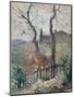 Perugia, Umbria, 1894 (Oil on Board)-Konstantin Andreevic Somov-Mounted Premium Giclee Print