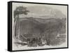 Peruvian Bark Tree Plantations in the Neilgherry Hills-null-Framed Stretched Canvas