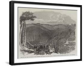 Peruvian Bark Tree Plantations in the Neilgherry Hills-null-Framed Giclee Print