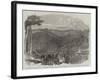 Peruvian Bark Tree Plantations in the Neilgherry Hills-null-Framed Giclee Print