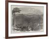 Peruvian Bark Tree Plantations in the Neilgherry Hills-null-Framed Giclee Print