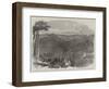 Peruvian Bark Tree Plantations in the Neilgherry Hills-null-Framed Giclee Print