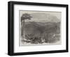 Peruvian Bark Tree Plantations in the Neilgherry Hills-null-Framed Giclee Print
