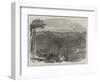 Peruvian Bark Tree Plantations in the Neilgherry Hills-null-Framed Giclee Print