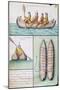 Peruvian Boat Called Balos-null-Mounted Giclee Print