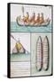 Peruvian Boat Called Balos-null-Framed Stretched Canvas