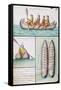 Peruvian Boat Called Balos-null-Framed Stretched Canvas