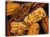 Peruvian Corn, Peru-Pete Oxford-Stretched Canvas