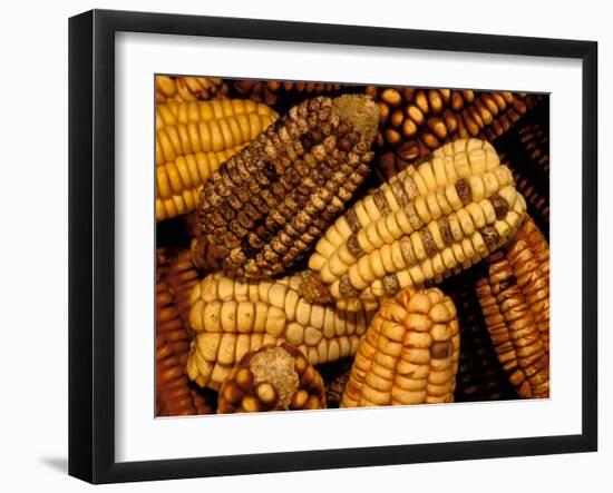 Peruvian Corn, Peru-Pete Oxford-Framed Photographic Print
