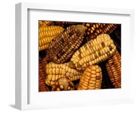 Peruvian Corn, Peru-Pete Oxford-Framed Photographic Print