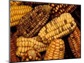 Peruvian Corn, Peru-Pete Oxford-Mounted Photographic Print