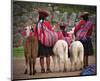 Peruvian Girls & Alpacas Peru-null-Mounted Art Print