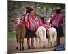 Peruvian Girls & Alpacas Peru-null-Mounted Art Print