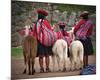 Peruvian Girls & Alpacas Peru-null-Mounted Art Print