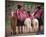 Peruvian Girls & Alpacas Peru-null-Mounted Art Print