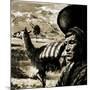 Peruvian Indian and Llama-null-Mounted Giclee Print
