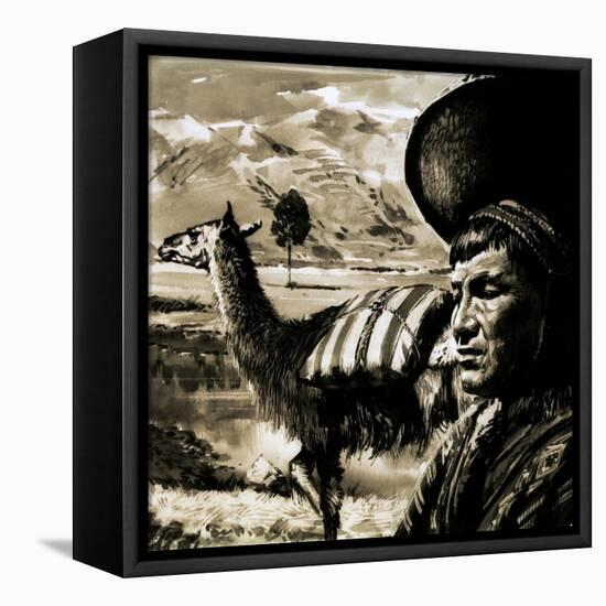 Peruvian Indian and Llama-null-Framed Stretched Canvas