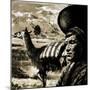 Peruvian Indian and Llama-null-Mounted Giclee Print