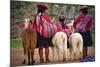 Peruvian Indios with Lamas-null-Mounted Art Print