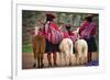 Peruvian Indios with Lamas-null-Framed Art Print
