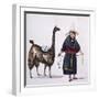 Peruvian Mestizo with a Llama from Costumes of South America by Emeric Vidal-null-Framed Giclee Print